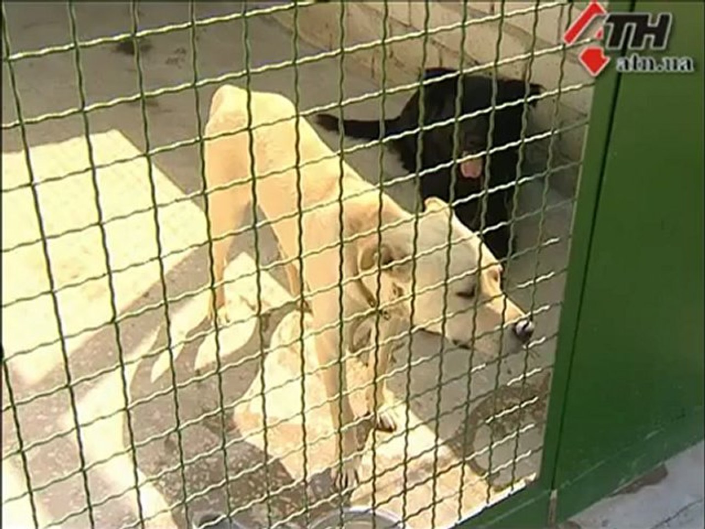 Новости АТН - 14.6.12