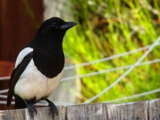 Shooting Raw - Blitz Photography