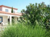 Plaine du Roussillon villa recente 400m² plain pied piscine 4 chambres terrain vue