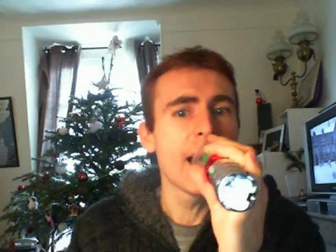 Wiwi égratigne l'accordéoneu de Raoul de Godewarsvelde