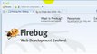 Installer Firebug sur Chrome, IE et Firefox