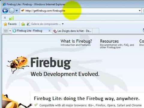 Installer Firebug sur Chrome, IE et Firefox