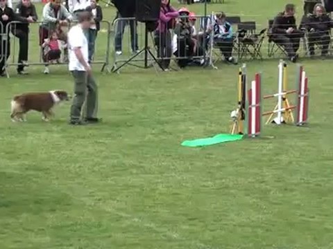 Denis et Cranberry- Manche 1