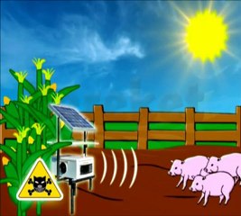 Domuz Kovucu  - BekciVar - Reklam Filmi