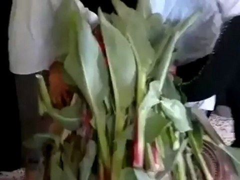 Syria فري برس حمص الرستن الشهيد البطل الإعلامي بسيم درويش 15 6 2012 Homs