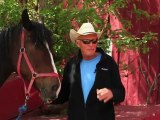Horseback Riding Ottawa - My first horseback riding experience.