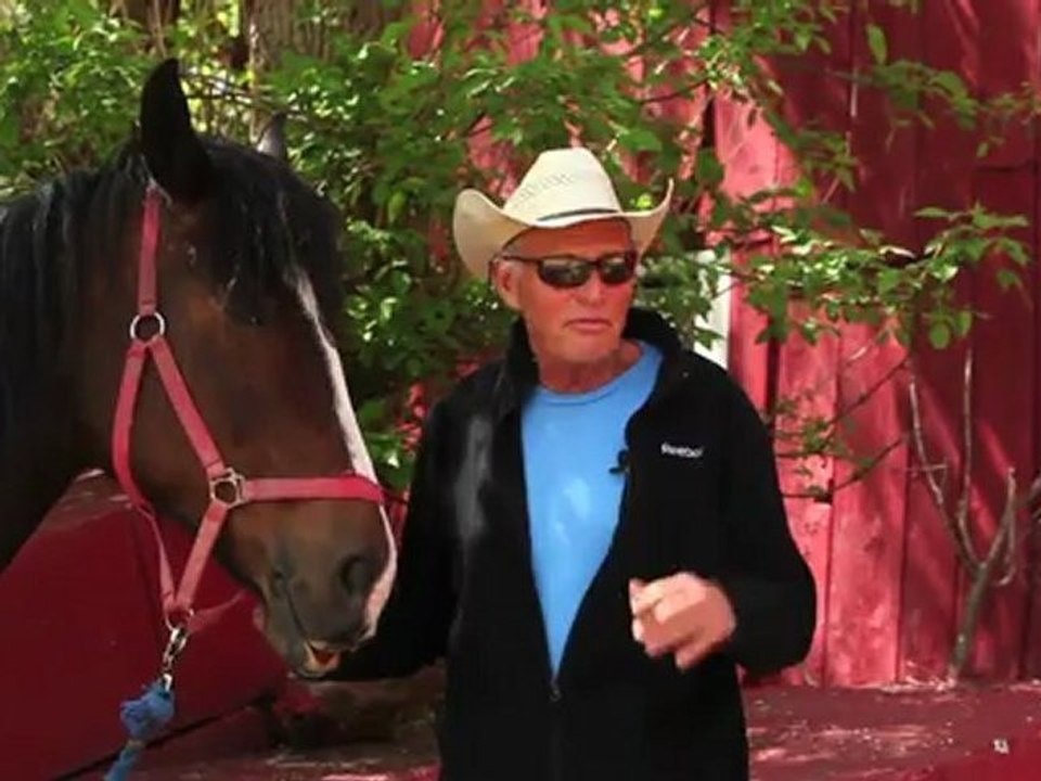 Horseback Riding Ottawa - My first horseback riding experience.