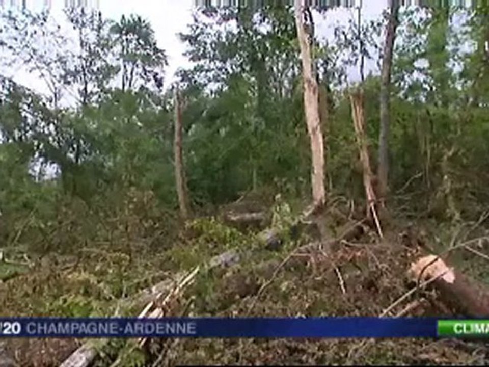Bilan à Clairvaux après la tempête