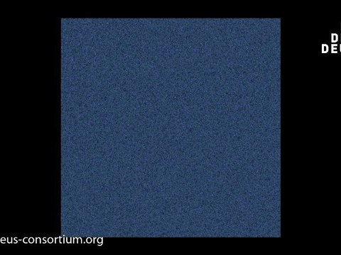 DEUS Full Universe Run - Inside present dark matter distribution