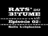 Rats du Bitume - Ep02 - Salyx Babylonica