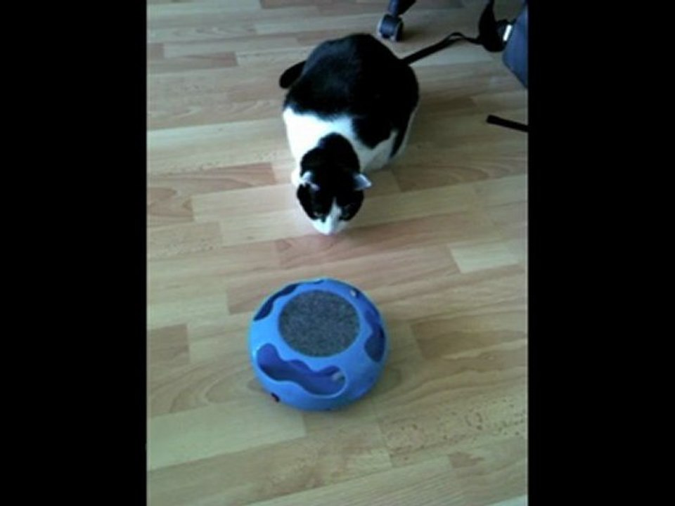 Pili, chat geek