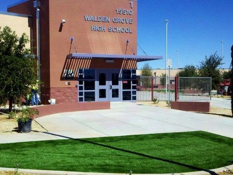 Arizona School's with Artificial Turf/Grass