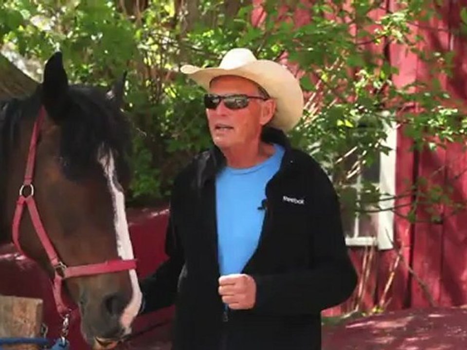 What safety precautions should be taken for horseback riding?