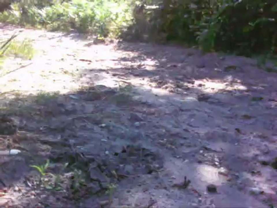 le vario, le ruisseau et la radio