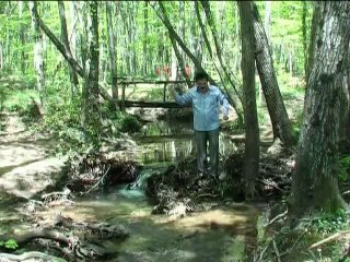 Kahtalı İbrahim - Mirişk