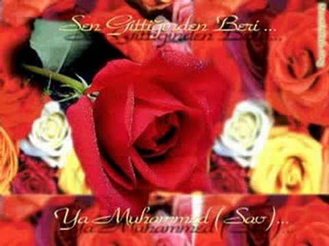 GÜL YÜZLÜ MABUDUNA İLAHİ FERUDUN TÜRKMEN