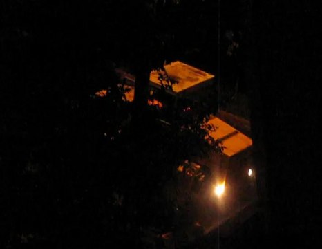 Туда сюда обратно