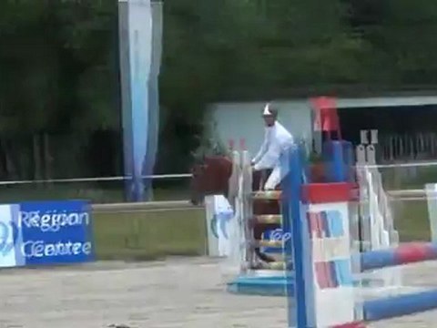 Rapsodie des Ajoncs/Bertrand Poisson-Olivet