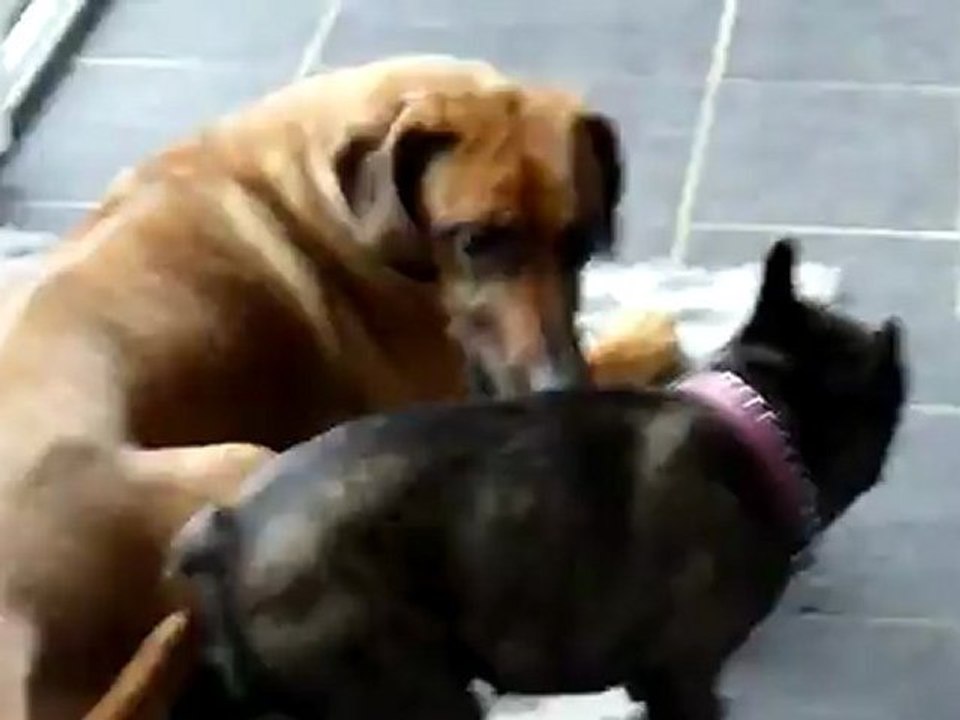 Carmen et Doly