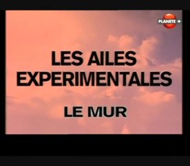 Les ailes expérimentales [ Le mur ]