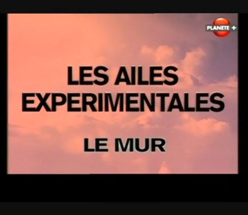 Les ailes expérimentales [ Le mur ]