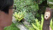101級雄中308畢業短片(附真正結局)