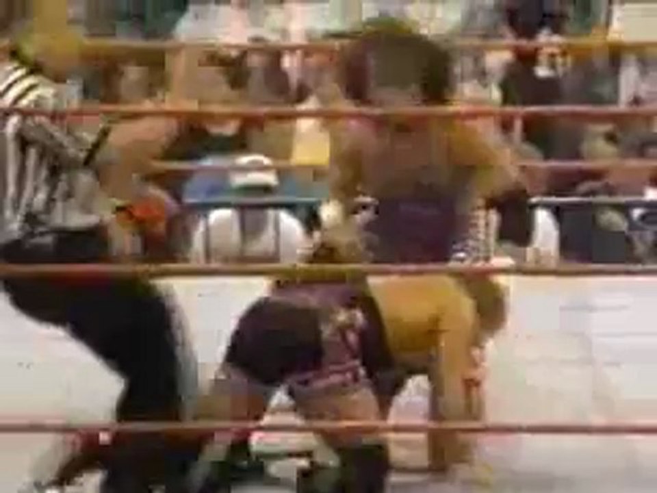Owen Hart vs Bob Holly IC title