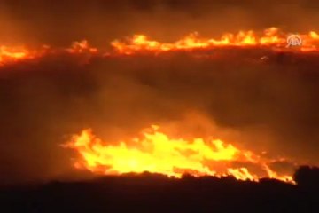 Cunda Adası'nda yangın