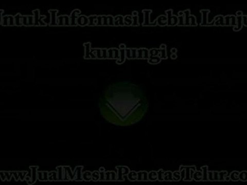 Jual Mesin Penetas Telur Tipe C 75 | SMS : 081 945 772 773