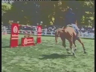 Tête en bas au travail...ou en haut