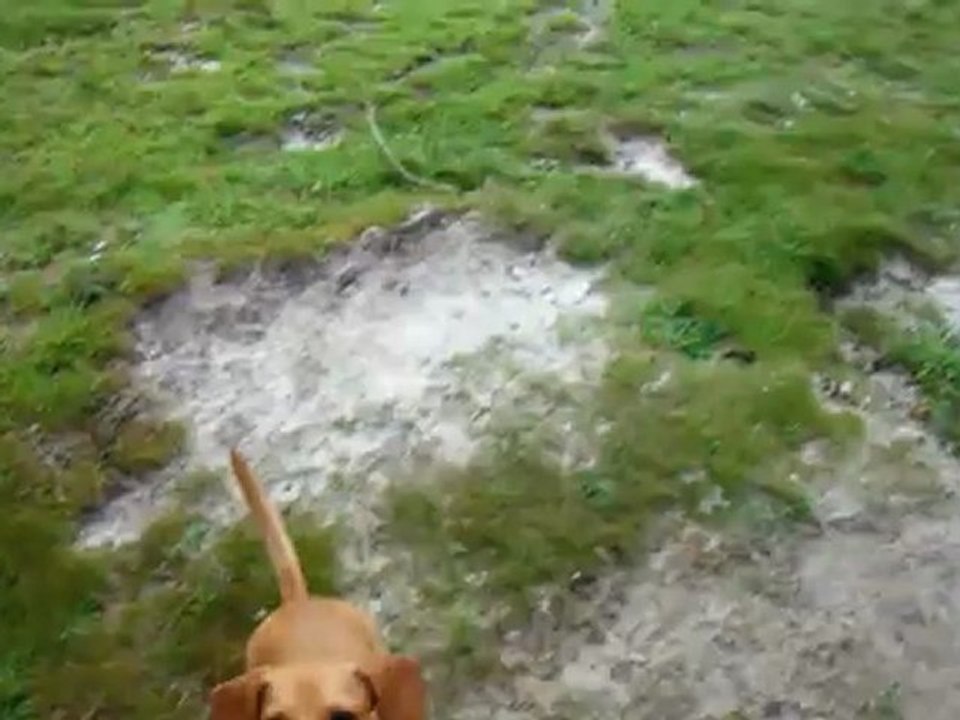 (06) Not a sand kinda gal