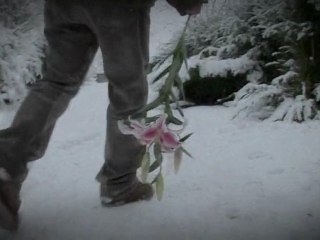 Minuta ticha – Múza