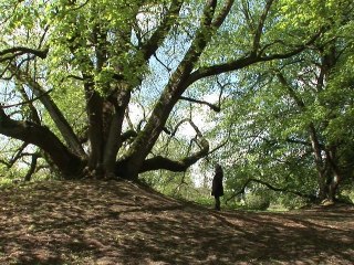Les projets d'installation in situ de Gaëlle Villedary au château de Mangé. 2012