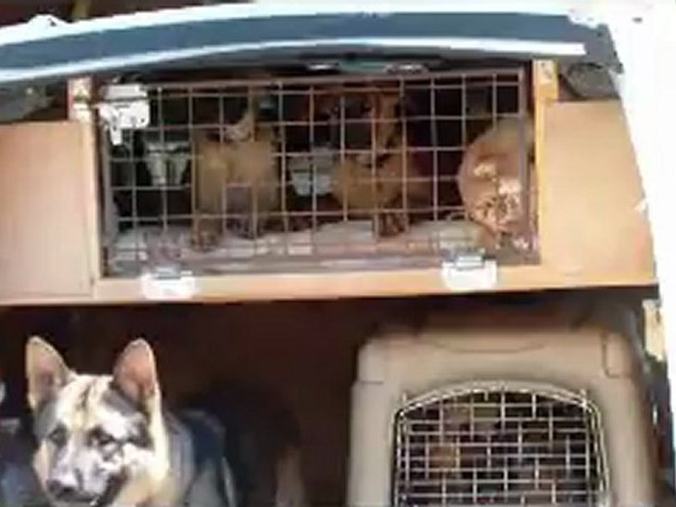 arrivee erzog