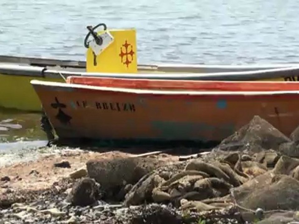 Images d'occitanie, Bages, village de l'Aude