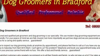 Dog Grooming Services In Bradford, West Yorkshire