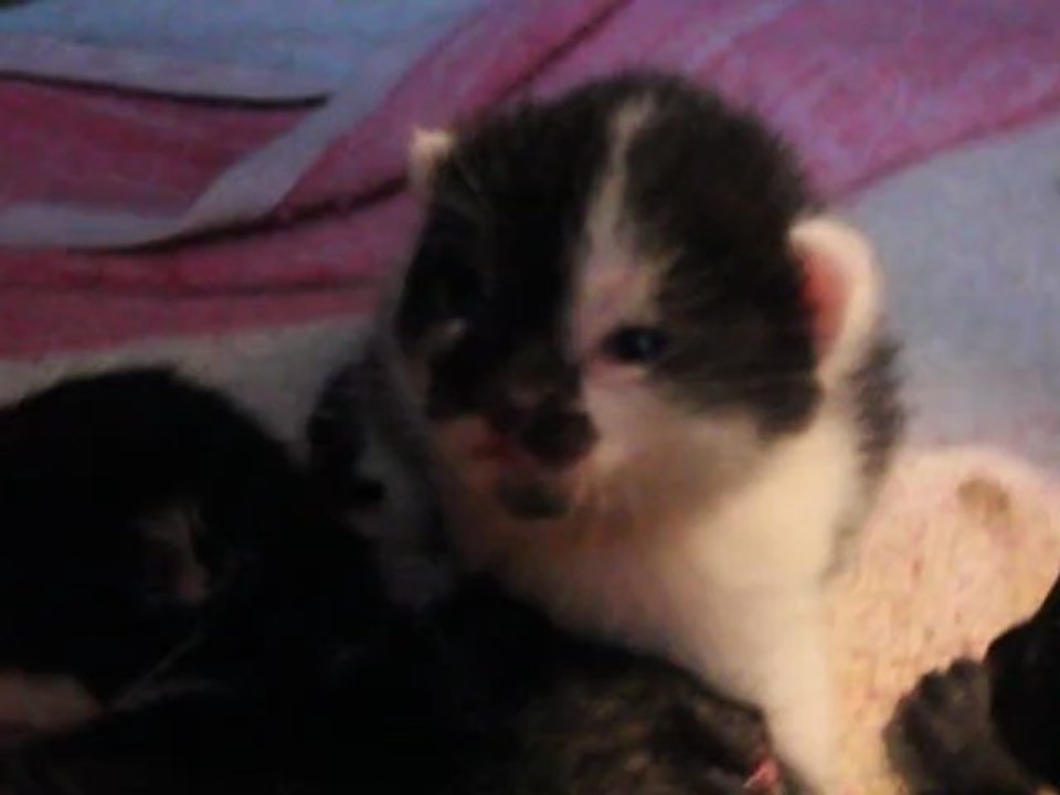 Les bébés découvre ce qui les entoure avec leurs petits yeux.