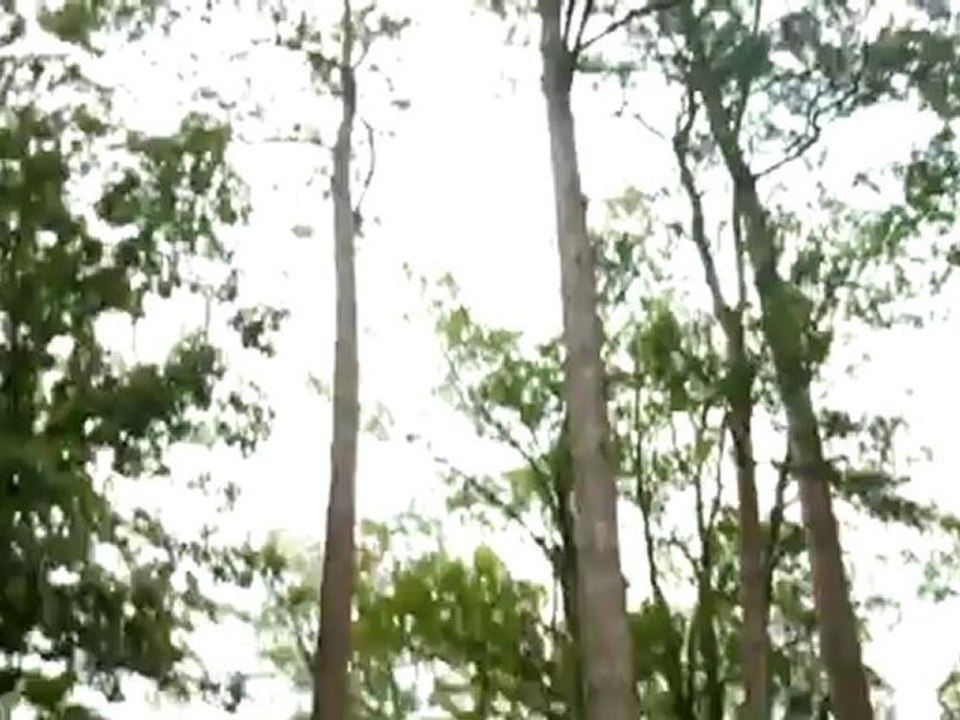 (23) Heli's go round 3rd time