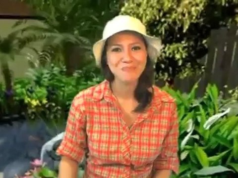 Achla Designs Bird Bath Clamp w/ Ring Holder, Holds Crackle Glass Birdbaths Review