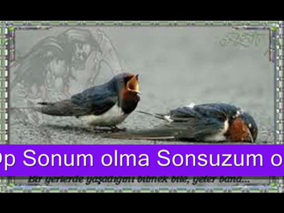 Hani verdiğin sözler hani www.sesliberaberiz.com www.silaninsesi.com