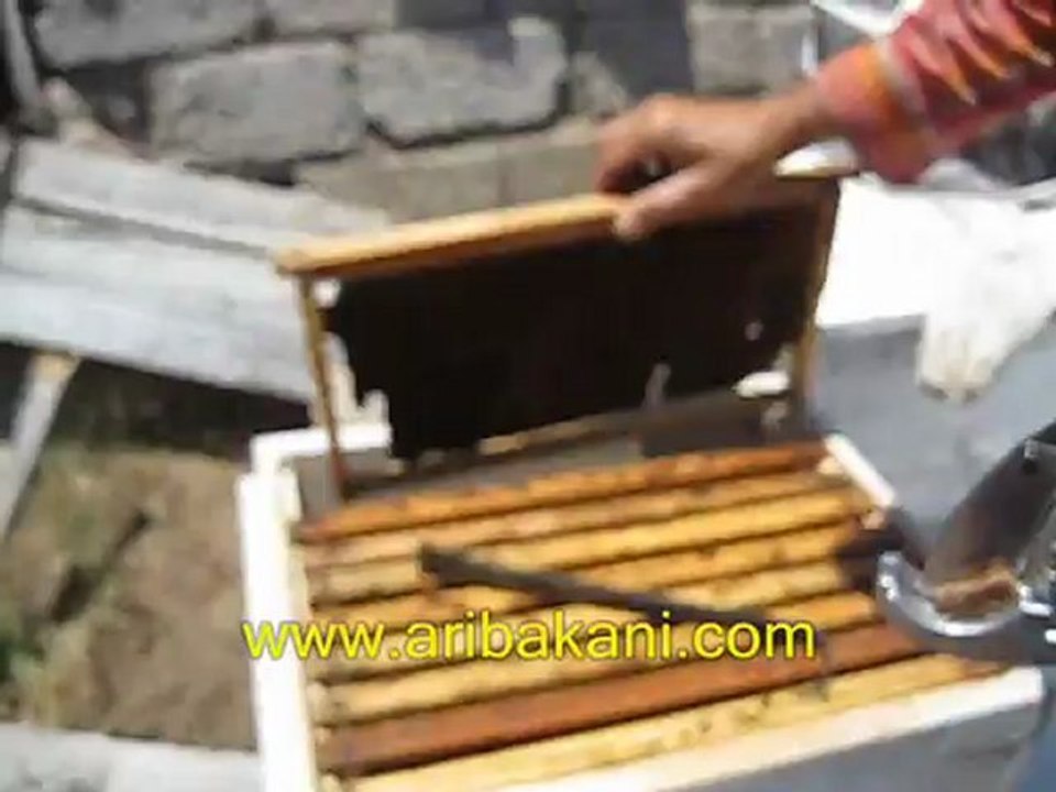 Uzun gelen bal çıtası