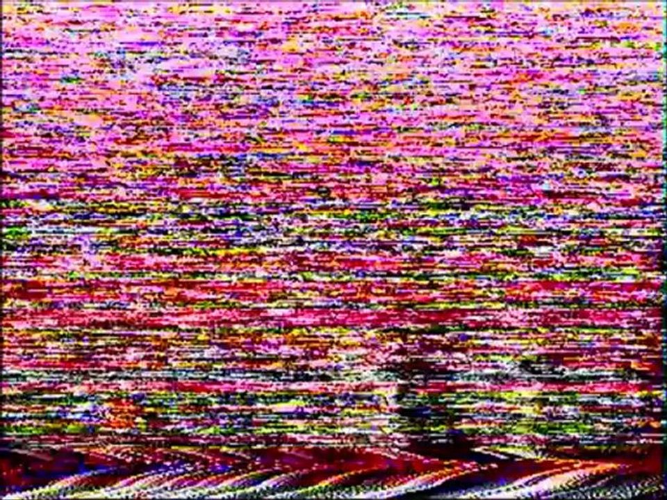 Columbo Peter Falk en France