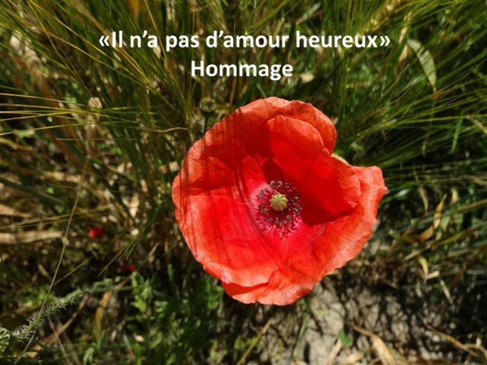 Hommage au poème Il n'y a pas d'amour heureux