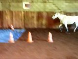 poney saut obstacle sur bache