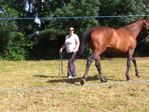 Rhapsodie début du travail 17 juin 2012