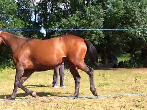 Rhapsodie suite du travail 17 juin 2012