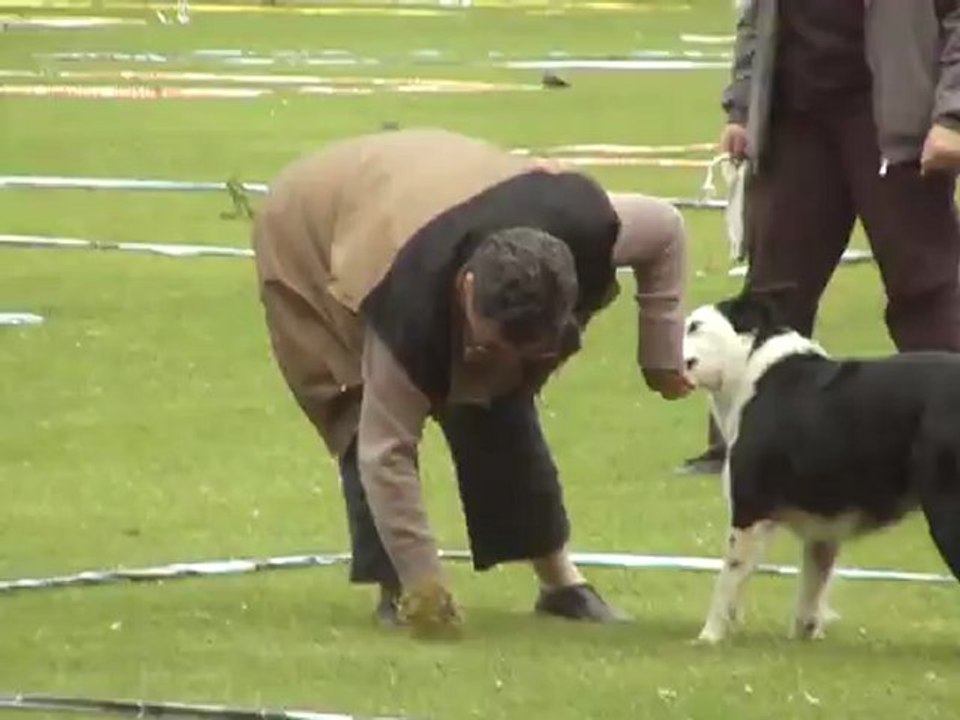 cavage pradines 2012 elya