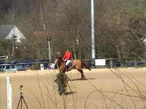 Bolide Bois Guillaume