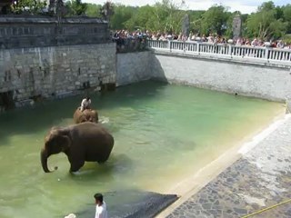 Pairi Daiza 17 juin 2012 036