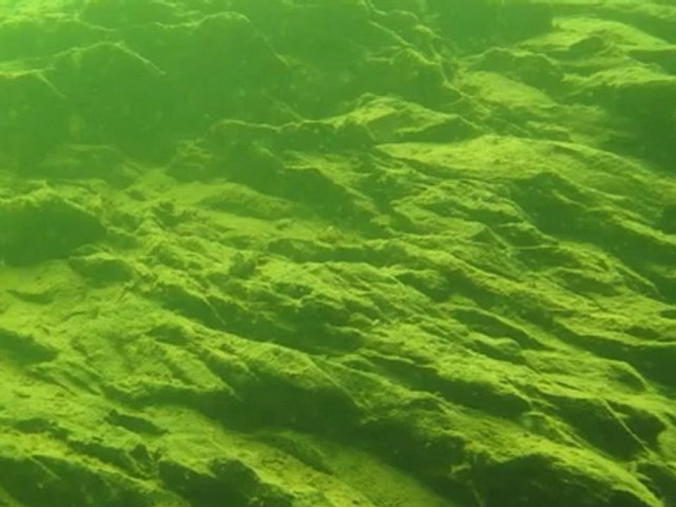 Formation Nitrox en lac au SUB AQUA CLUB JOVICIEN 16 juin 2012